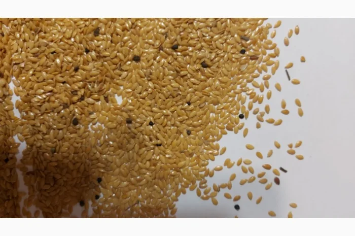 Куплю лен коричневый и золотистый 2025 года от производителя- фото № 1