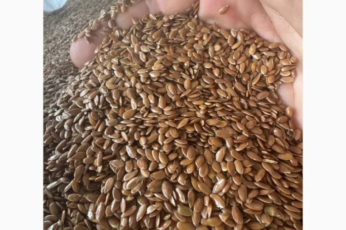 Продам лен коричневый на экспорт- фото № 1