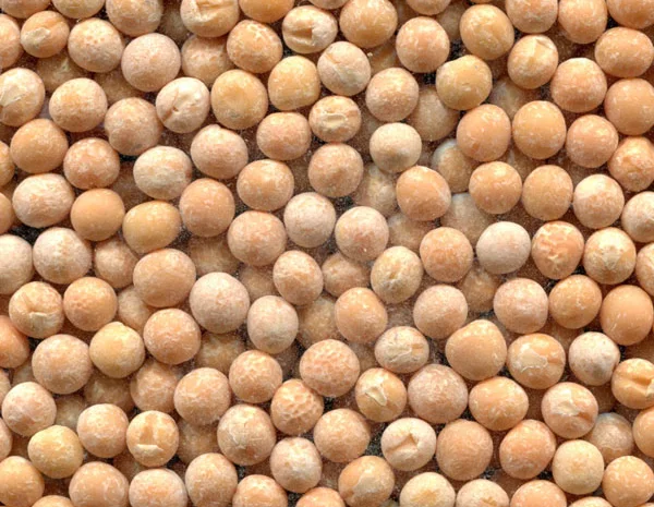 Закупаем Горох- фото № 1