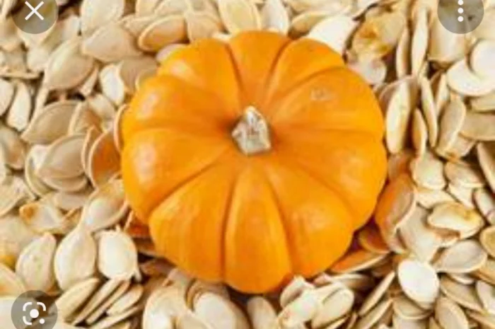 Продам гарбузове насіння- фото № 1