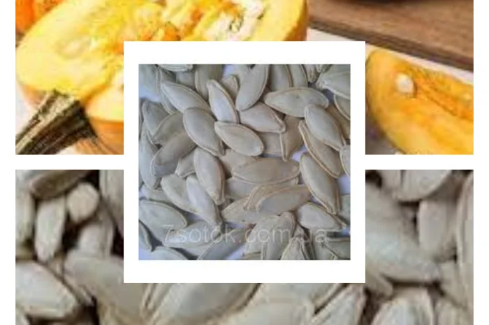 Продам насіння гарбуза- фото № 1