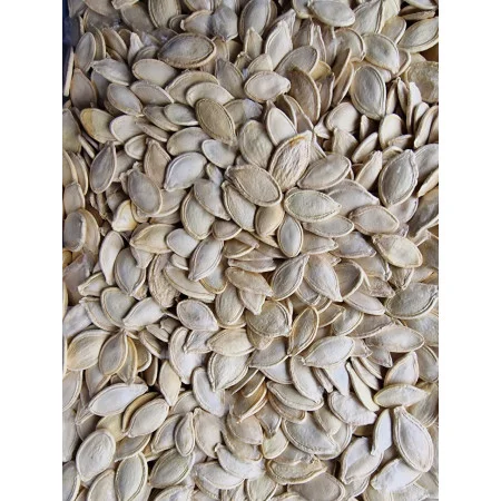 Закуповуємо гарбузове насіння ОПТ- фото № 1