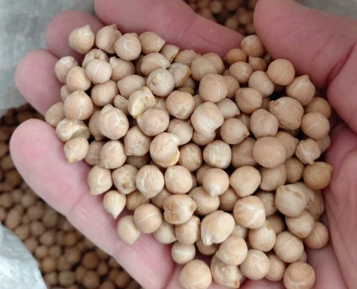 Продажа не калиброванного нута и красной чечевицы- фото № 1