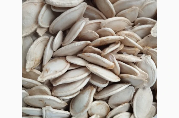 Продам гарбузове насіння- фото № 1