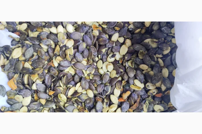 Голонасінне- фото № 3