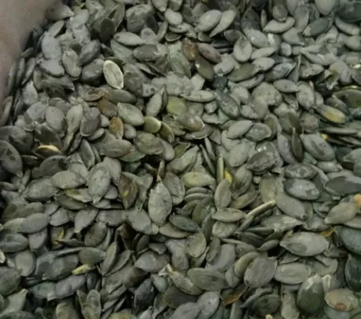 Насіння голонасінневого гарбуза- фото № 1