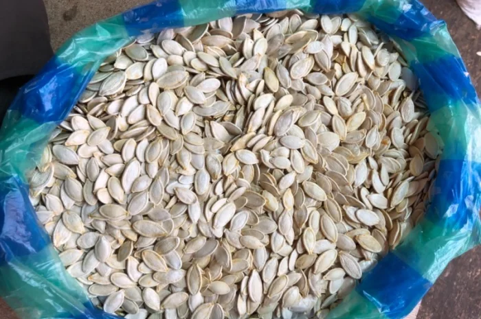Продам тыквенные семечки- фото № 3