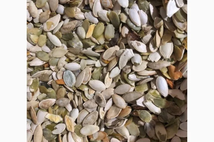 Продам відходи гарбузового насіння на олію- фото № 1