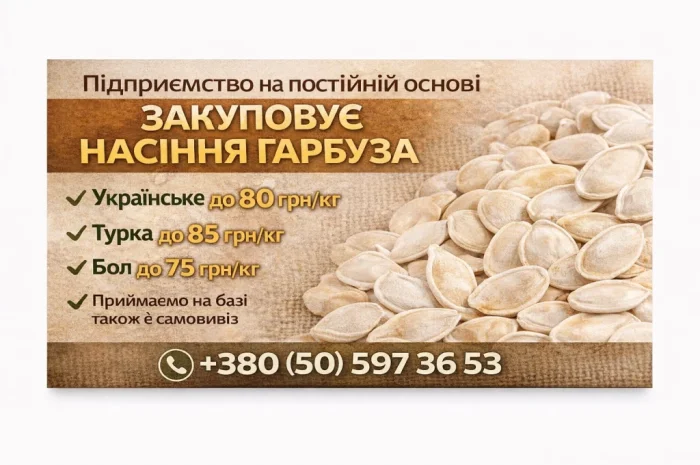 Насіння гарбуза- фото № 1