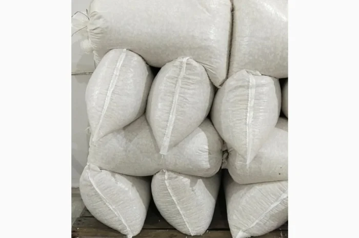 Продам насіння гарбуза- фото № 3