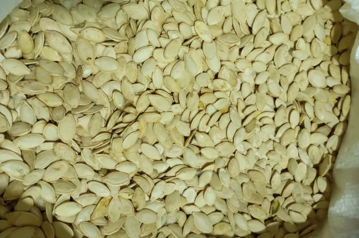 Куплю гарбузове насіння- фото № 1