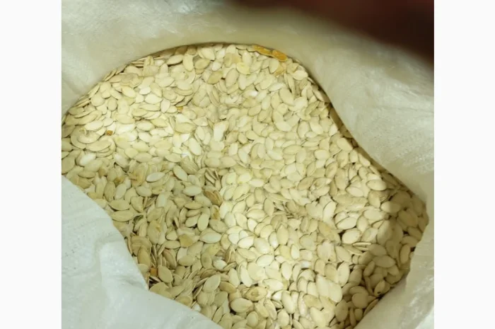 Куплю гарбузове насіння- фото № 2