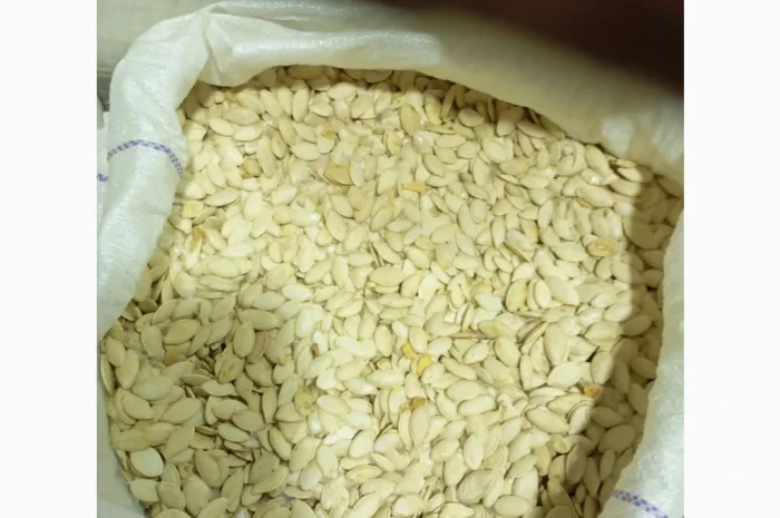 Куплю гарбузове насіння- фото № 3