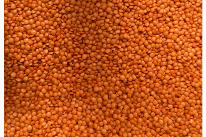 Продам сочевицю червону- фото № 1