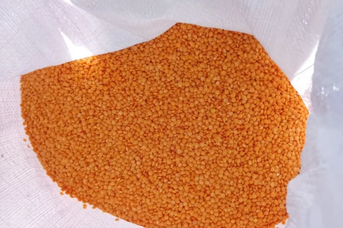 Продам сочевицю червону- фото № 2