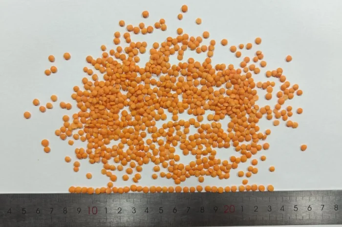 Продам сочевицю червону- фото № 3