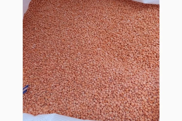 Постіно закуповуємо сочевицю червону та зелену- фото № 1