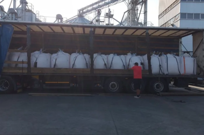 Постіно закуповуємо сочевицю червону та зелену- фото № 2