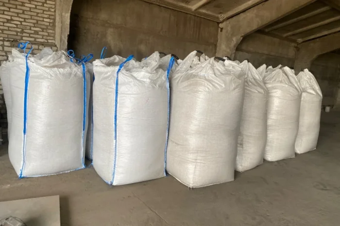 Продажа семян тыквы оптом- фото № 2