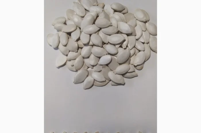 Пропонуємо до продажу гарбузове насіння на постійній основі- фото № 2