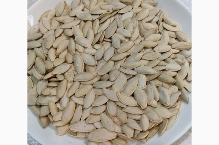 Закупка семян тыквы всех сортов на постоянной основе- фото № 3