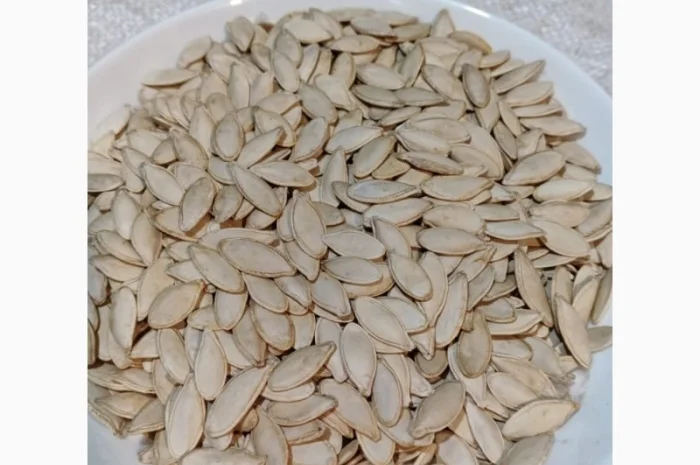 Закупка семян тыквы всех сортов на постоянной основе- фото № 4