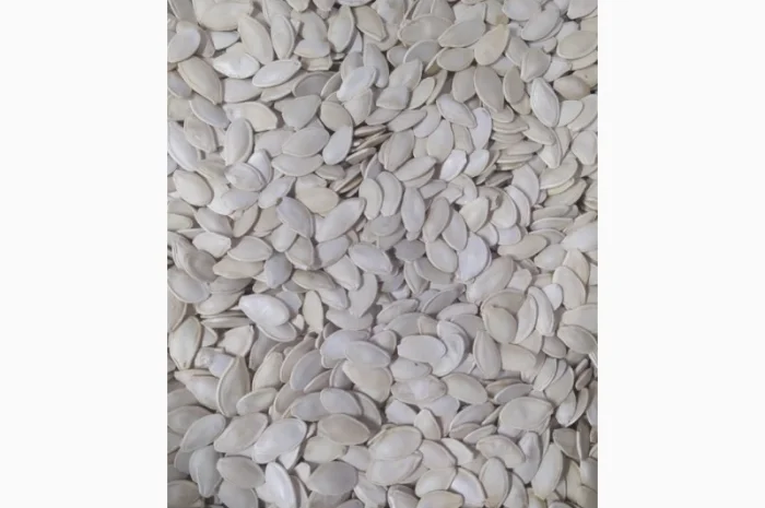 Закупка семян тыквы всех сортов на постоянной основе- фото № 5