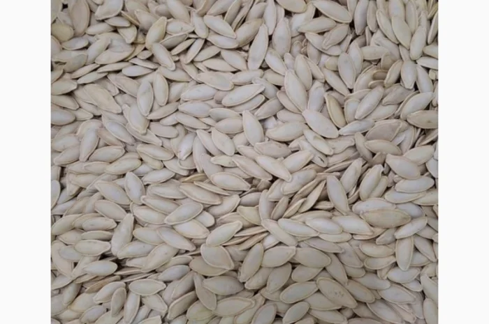 Закупка семян тыквы всех сортов на постоянной основе- фото № 6