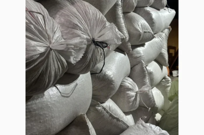 Продается семена тыквы сорта «Украинка многоплодная» от 20 тонн- фото № 5