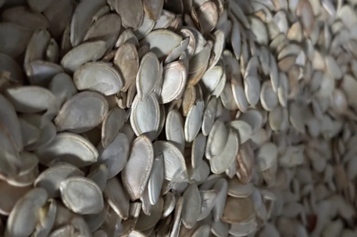 Продам гарбузове насіння- фото № 1