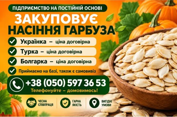 Закупка семян тыквы- фото № 1