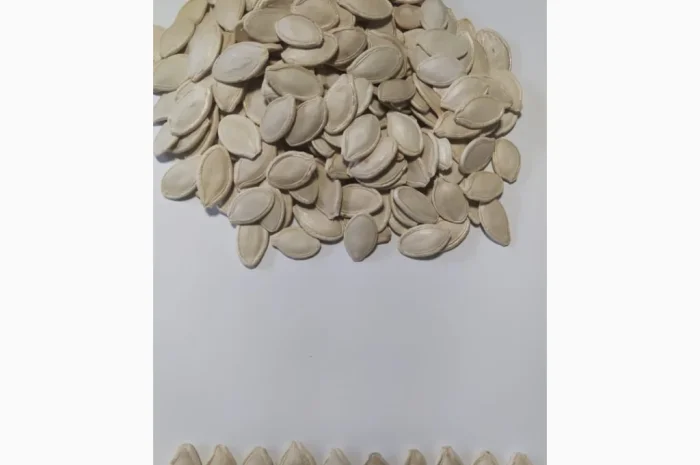 Насіння гарбуза- фото № 1