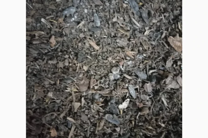 Продам гуртом мертві відходи від соняшника та ріпака від 22 т- фото № 3