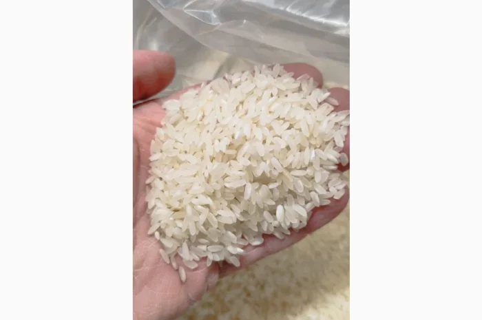 Продам рис среднозерный- фото № 2