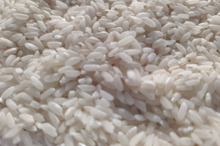 Продам рис среднозерный- фото № 3