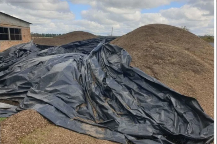 Купляємо по всій Україні самовивозом мертві відходи соняшника- фото № 2