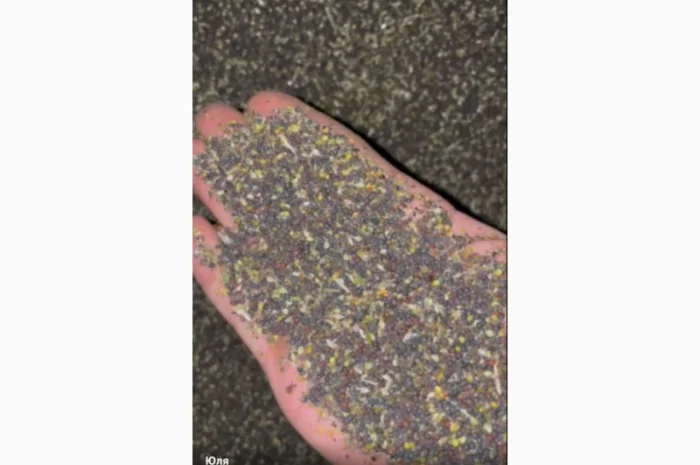 Купую ріпак, сою, кукурузу та відходи ріпака- фото № 1