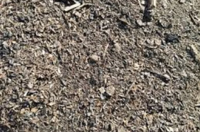 Куплю деловые отходы подсолнечника- фото № 1