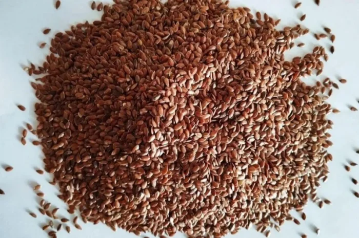 Льон- фото № 1