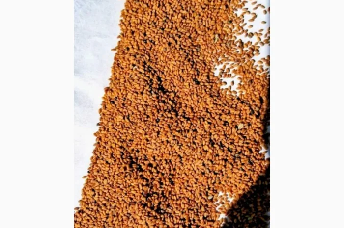 Льон- фото № 2