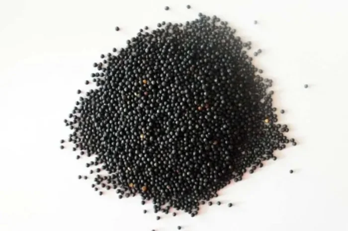 Льон- фото № 7