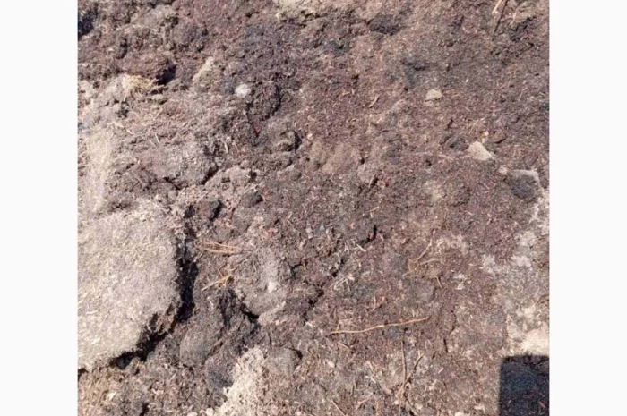 Куплю відходи соняшника- фото № 3