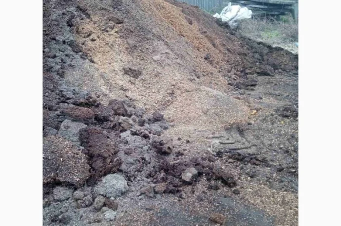 Куплю відходи соняшника- фото № 4