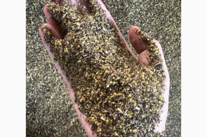 Купляємо відходи соняшника- фото № 4