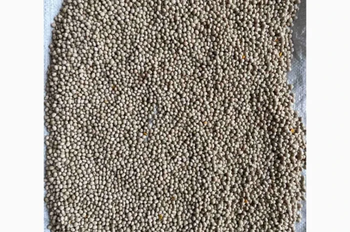 Продается насіння люпину вузьколистого Локомотив еліта- фото № 1