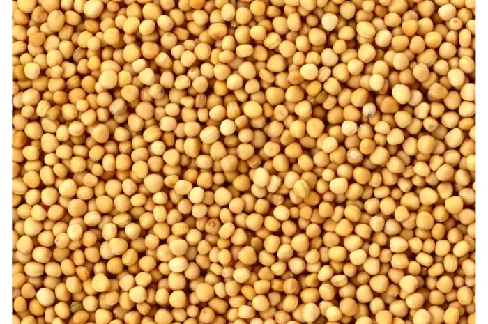 Купуємо білу гірчицю по всій Україні- фото № 1