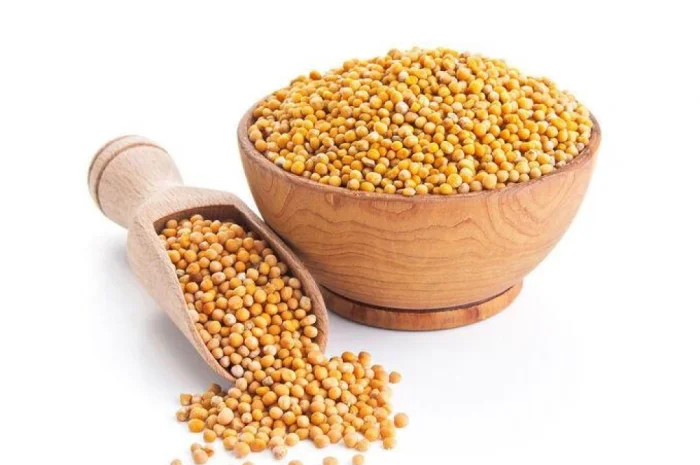 Купую білу гірчицю. Самовивіз із господарства- фото № 1