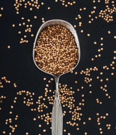 Закуповуємо гірчицю білу- фото № 1