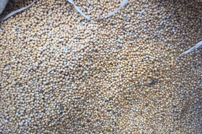 Купуємо гірчицю білу та жовту- фото № 1