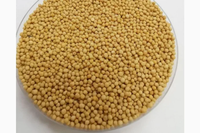 Закуповуємо гірчицю- фото № 1